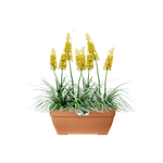 vibia campana terrace trough 80cm terra